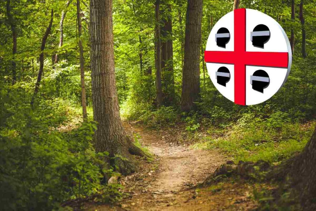 foresta e simbolo della bandiera sarda