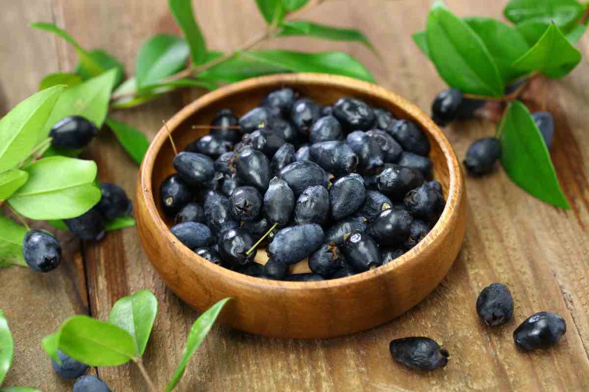 Bacche di mirto 