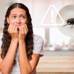 mosca donna spaventata