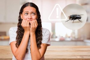 mosca donna spaventata