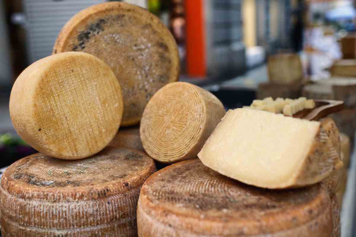 Pecorino sardo