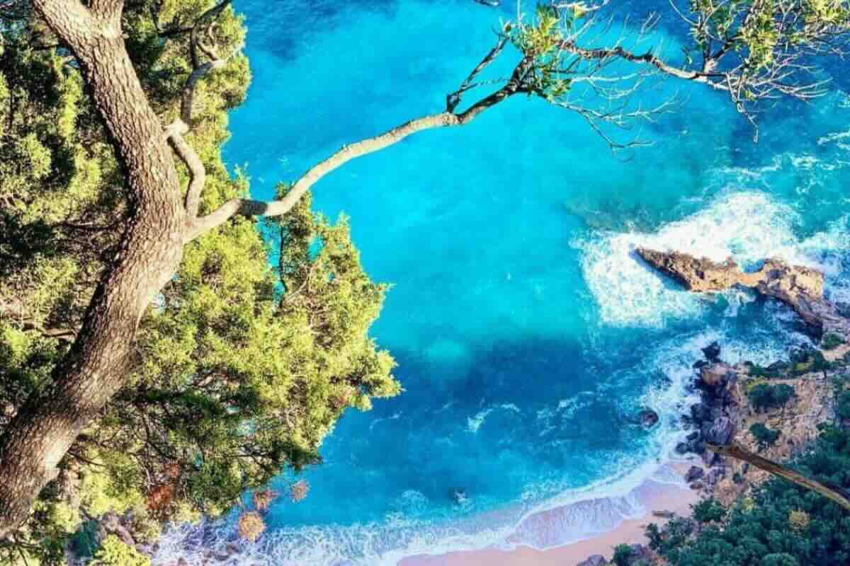 Vista su acque azzurre e vegetazione