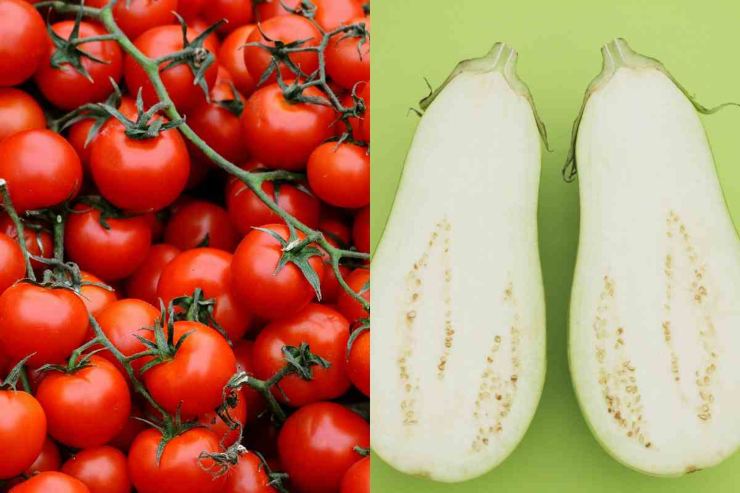 pomodori e melanzane
