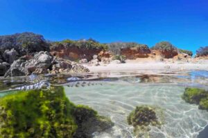spiaggia di Alghero con vegetazione ed acqua trasparente