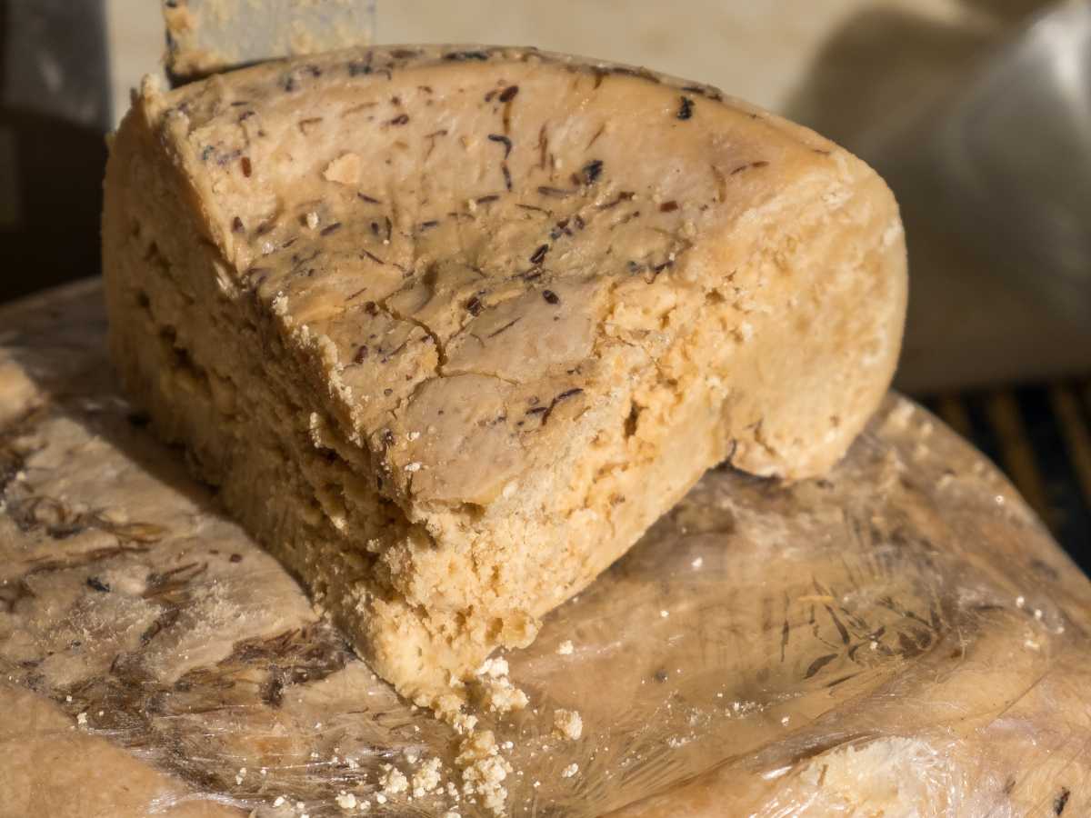 forma di casu marzu