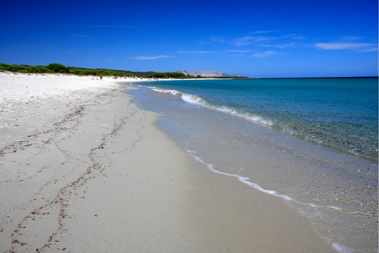 spiaggia di sabbia in sardegna
