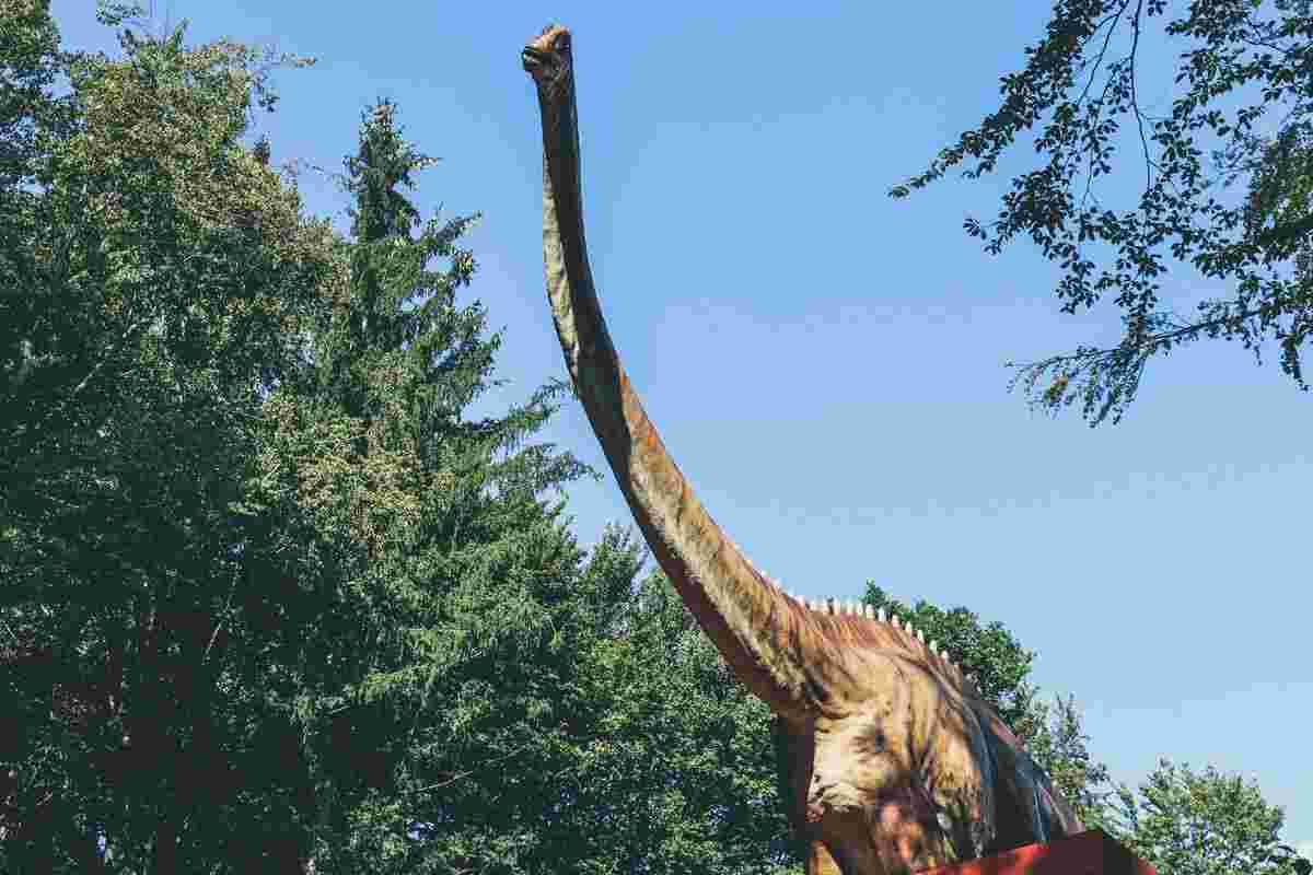 dinosauro