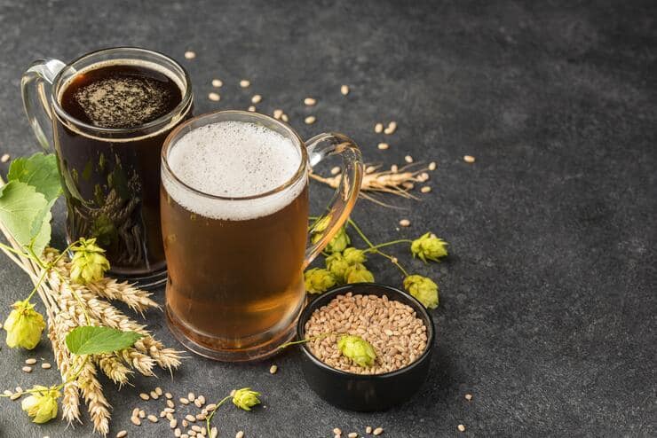 Boccali di birra con luppolo e orzo attorno