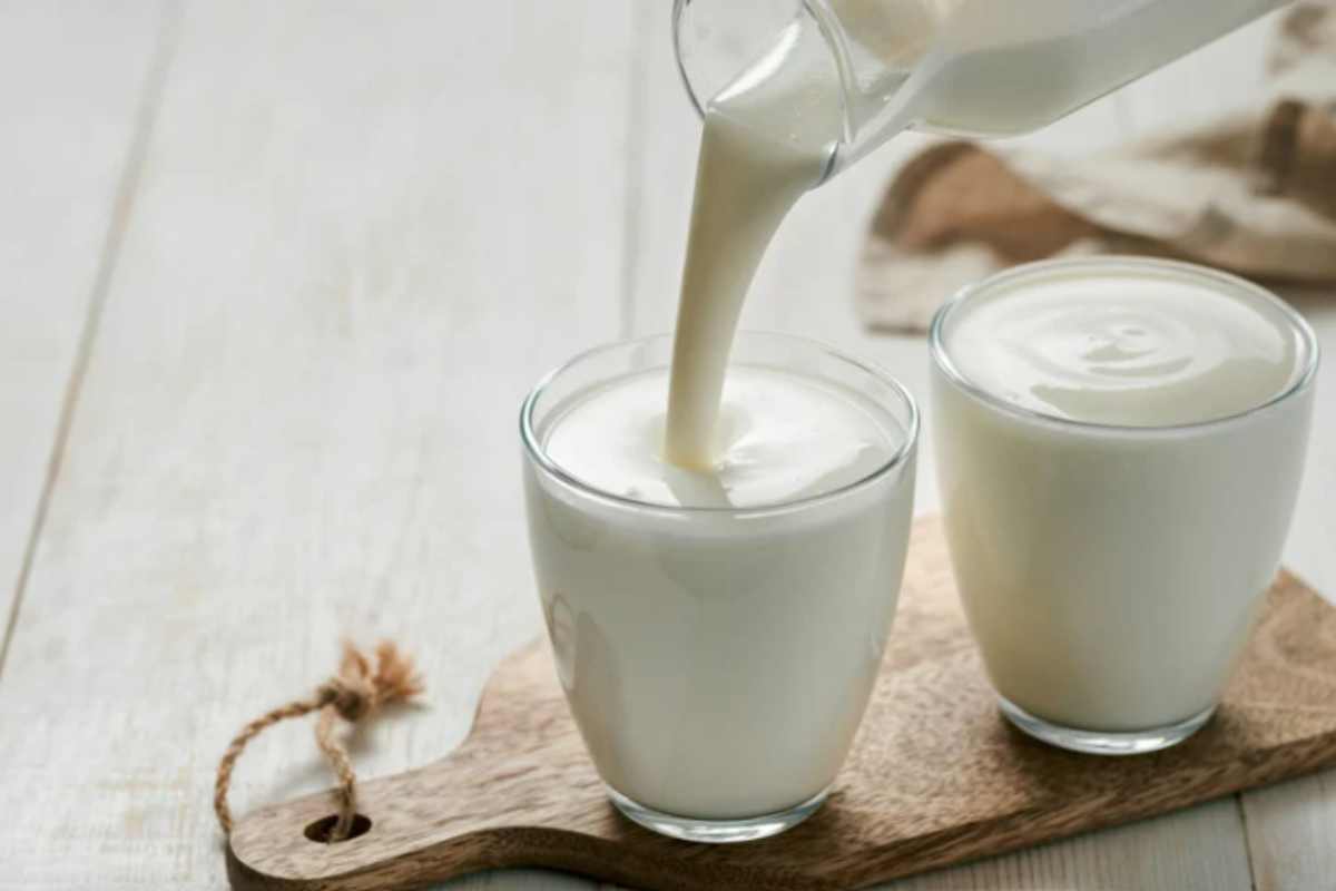 yogurt in casa