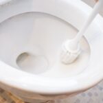 Scopino nella tazza del gabinetto