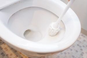Scopino nella tazza del gabinetto