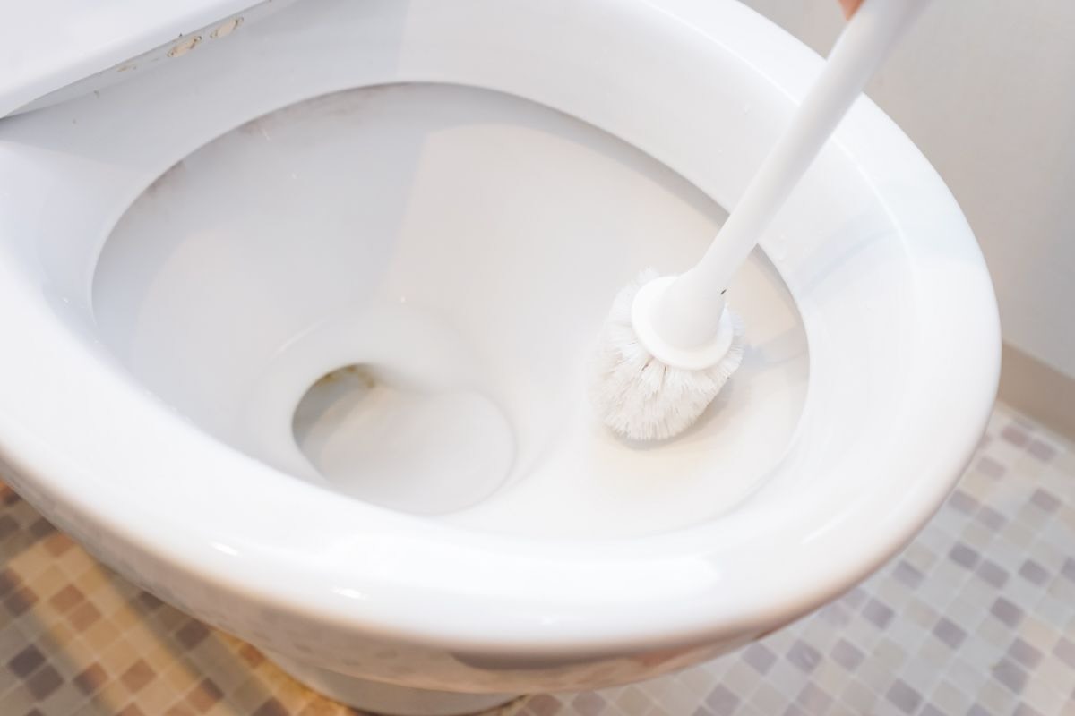 Scopino nella tazza del gabinetto