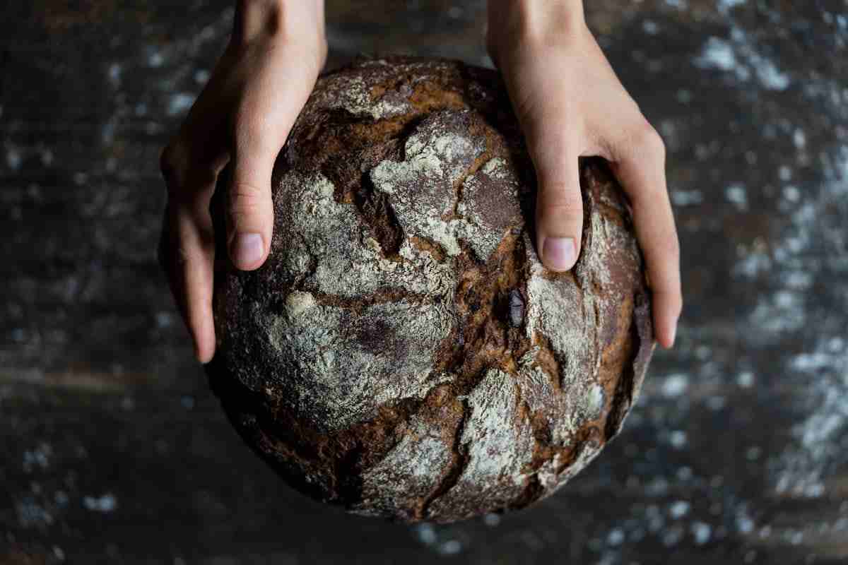 pane nero
