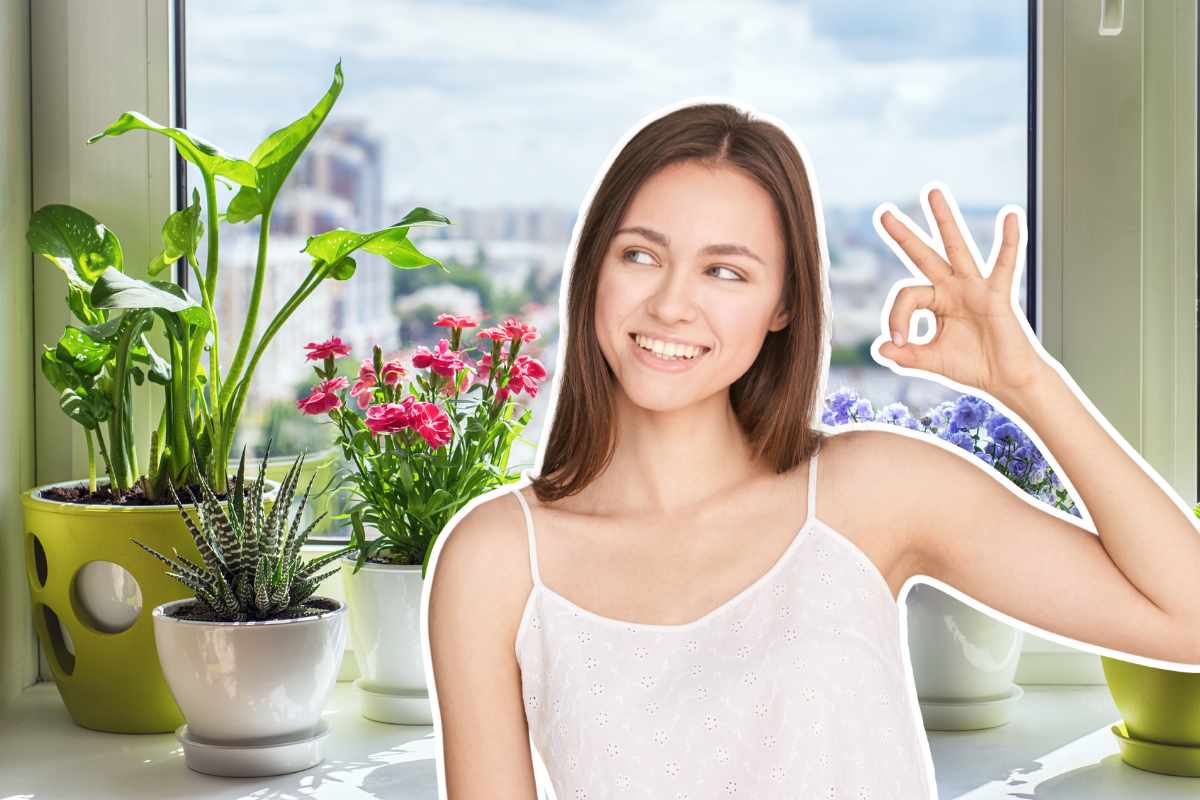 piante sulla finestra e donna gesto ok