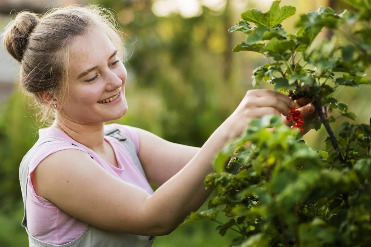 Ragazza che esamina i rami di una pianta