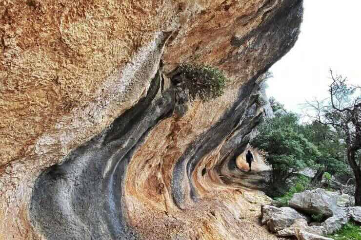 Rocce