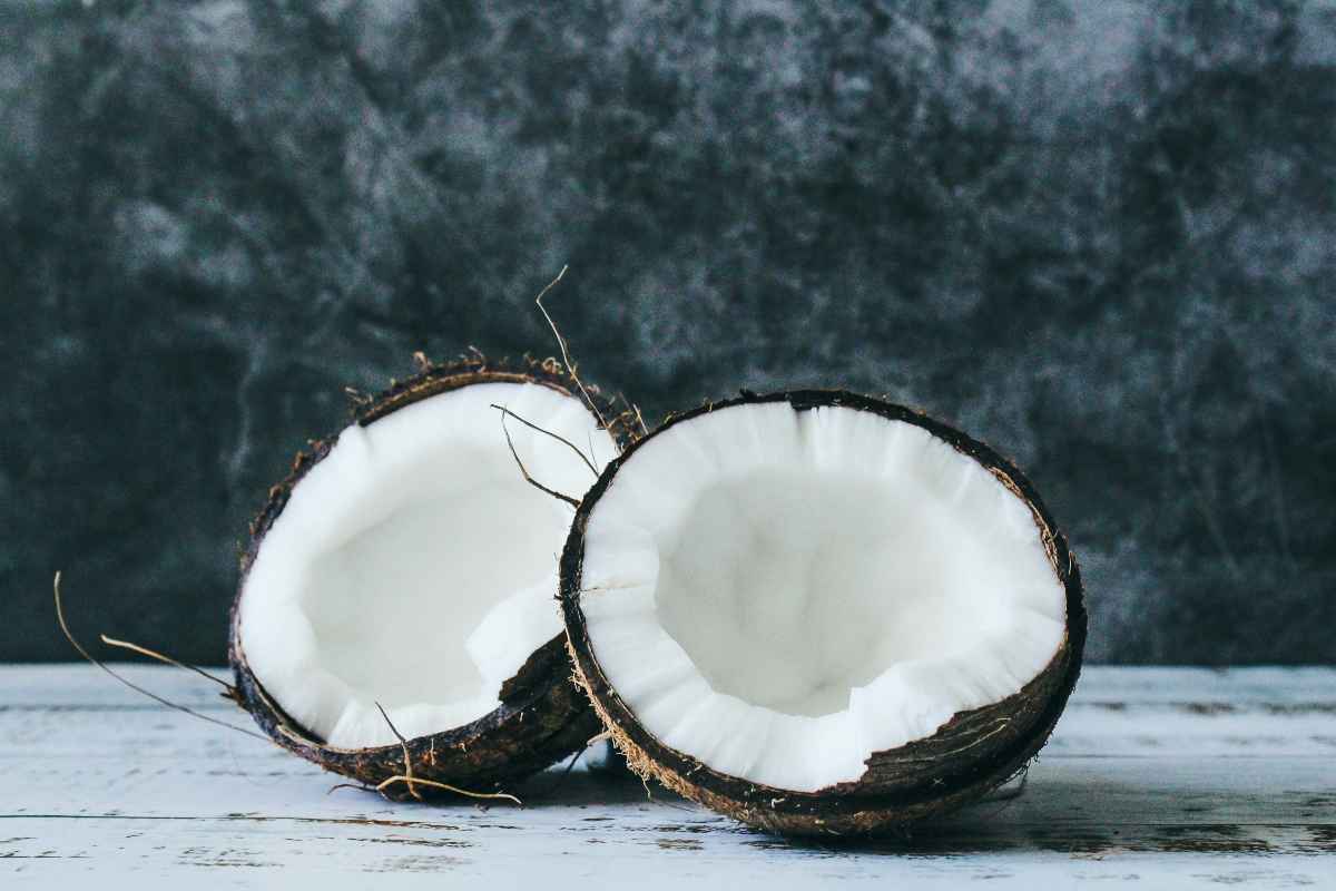 Cocco aperto