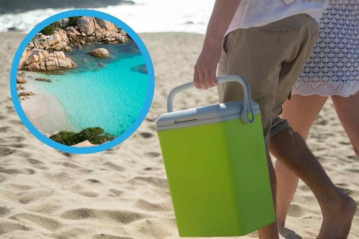 Borsa frigo al mare