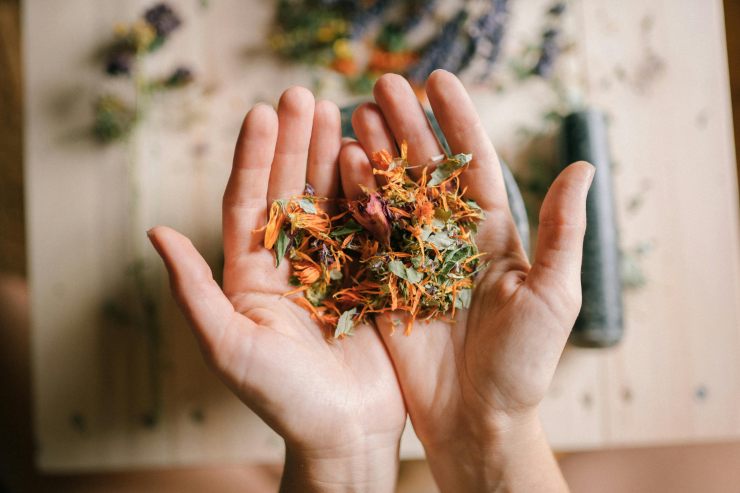 mani che tengono erbe aromatiche
