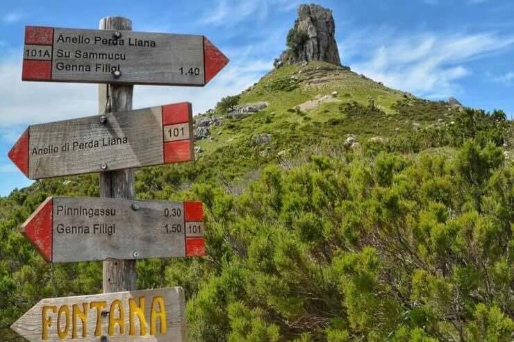 Perda ‘e Liana e vegetazione