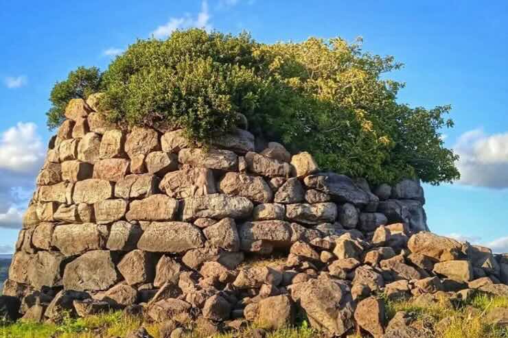 nuraghe con vegetazione