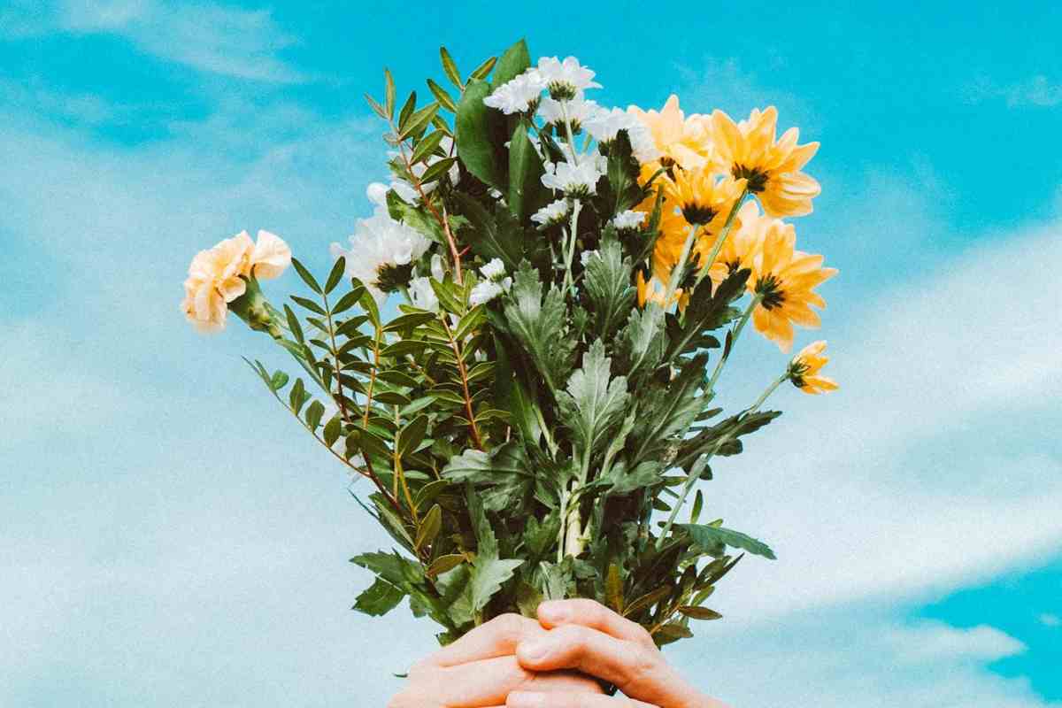 Fiori con sfondo cielo