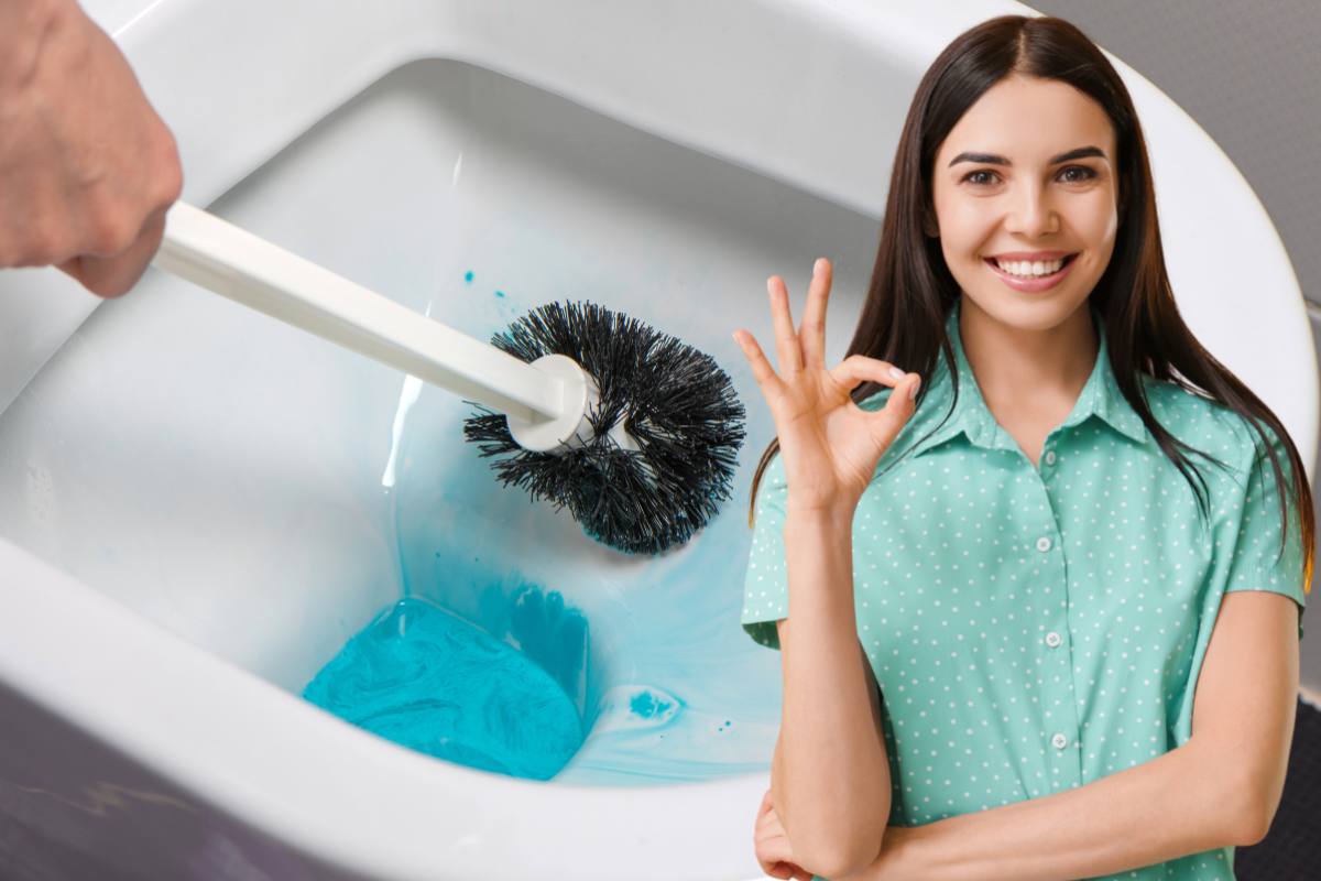 detergente nel wc e donna gesto ok