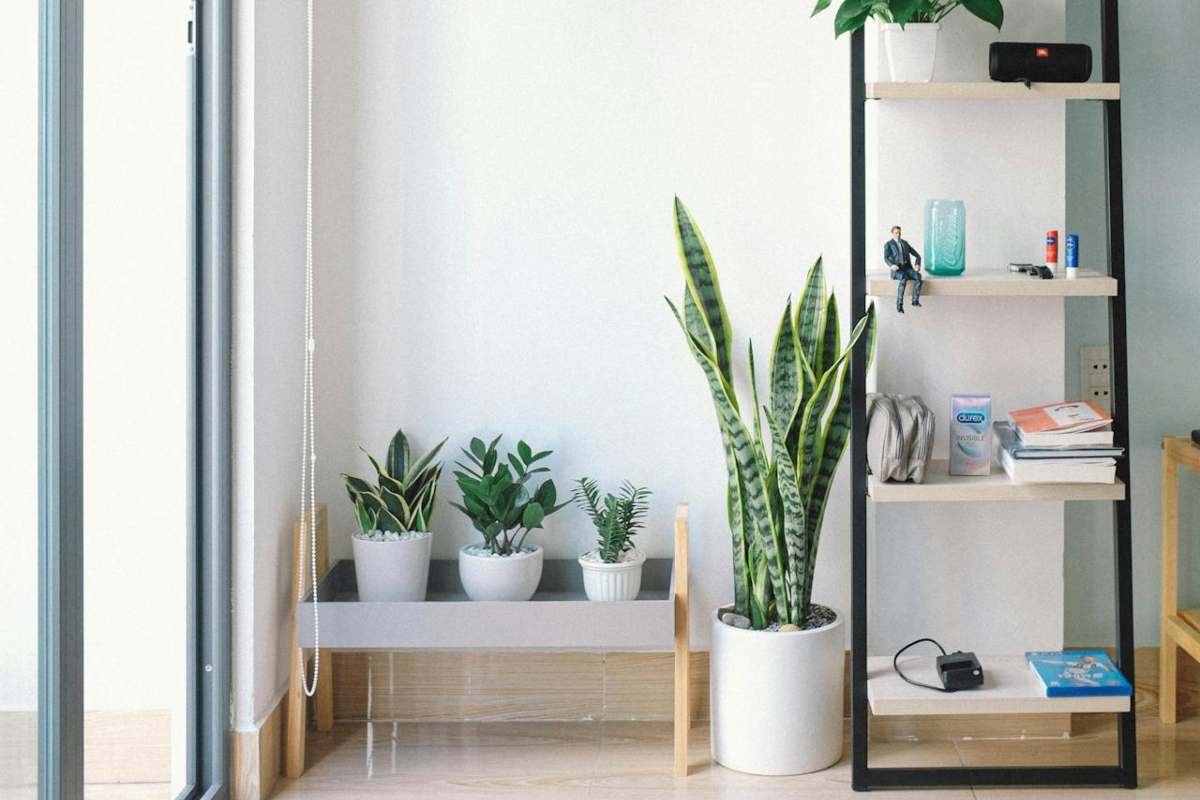 Casa pulita e ordinata