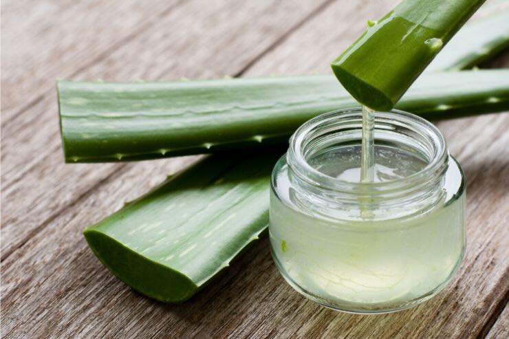 foglie di aloe vera e barattolo con liquido 