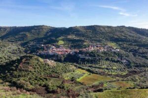 vista di modolo