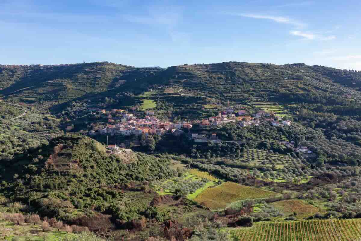 vista di modolo