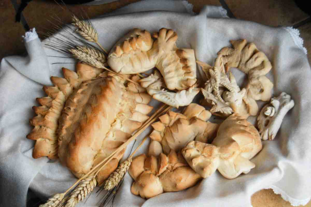 pane Coccoi