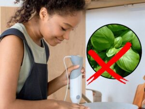 sfondo ragazza che usa mixer e tondo con basilico e x rossa