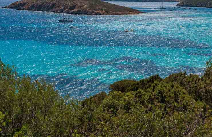 Mare