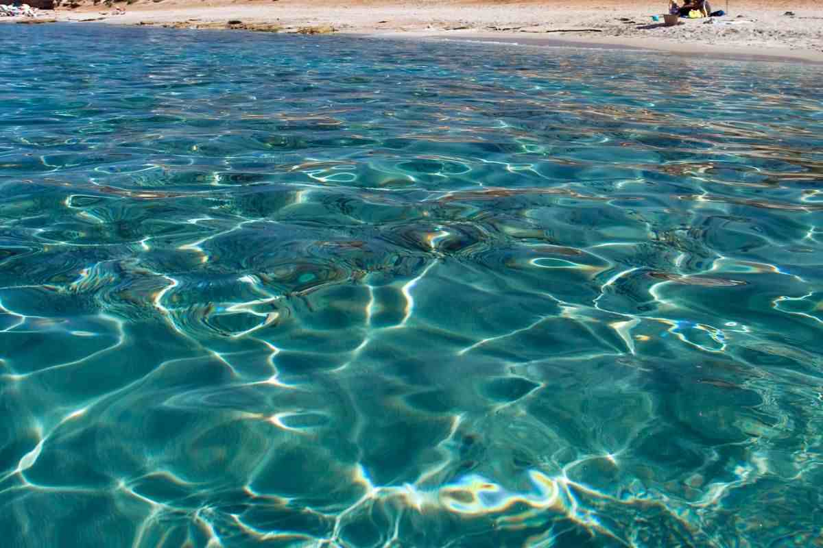Mare