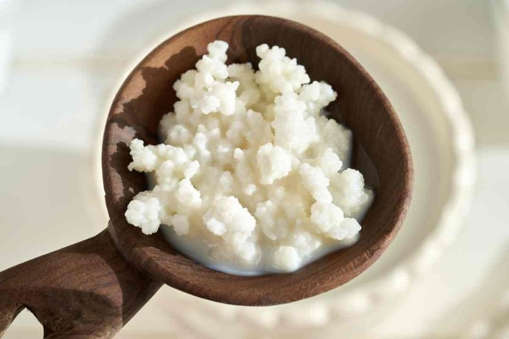 Kefir nel cucchiaio