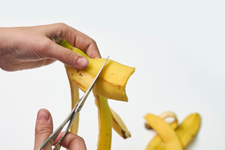 tagliare bucce di banana con forbici