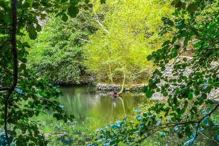 Parco di san Leonardo di Siete Fuentes