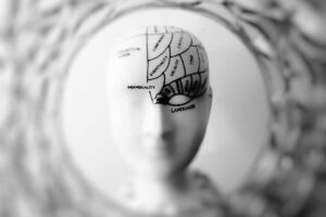 Rappresentazione testa con schema cervello umano