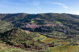 vista del verde intorno a modolo